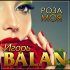 Обложка трека Игорь Balan - Роза моя