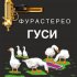 Обложка трека ФУРАСТЕРЕО, Стэнли Пазл - На дворе