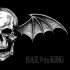 Обложка трека Avenged Sevenfold - Hail to the King