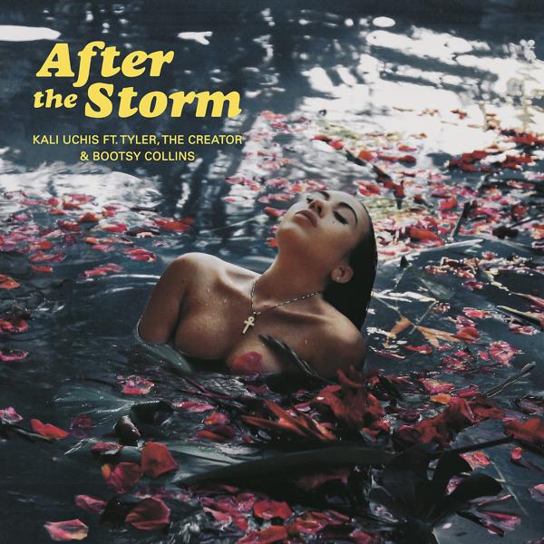 Трек After The Storm