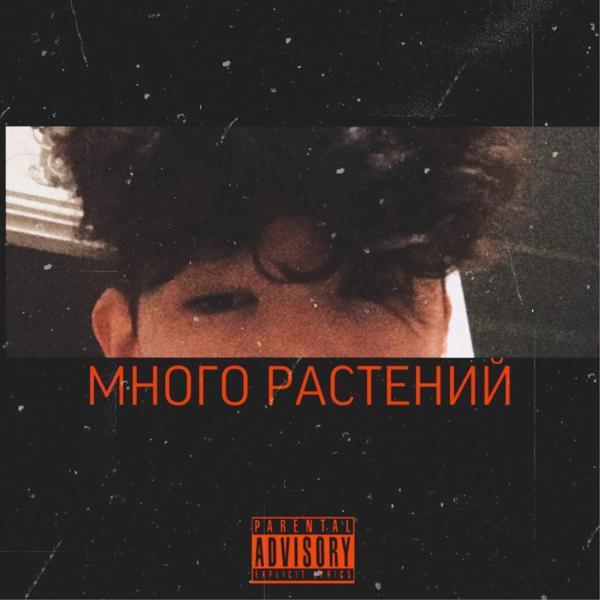 Трек Много растений