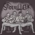 Обложка трека Spiderweek - Неделя пауков