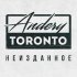 Обложка трека Andery Toronto, Taras - Нервы