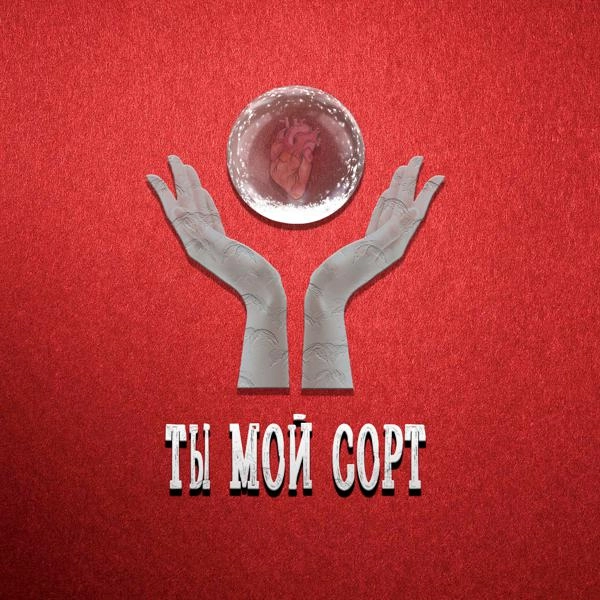 Трек Ты мой сорт