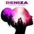 Обложка трека DeniZa - Нежная любовь