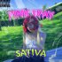 Обложка трека Sativa - Тьма