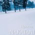 Обложка трека Nakatani - Прости