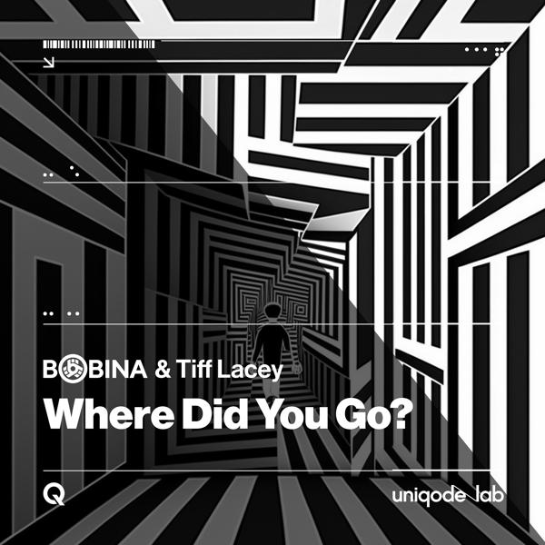 Трек Where Did You Go? (Chill Night Mix)