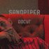 Обложка трека SANDPIPER - Досуг