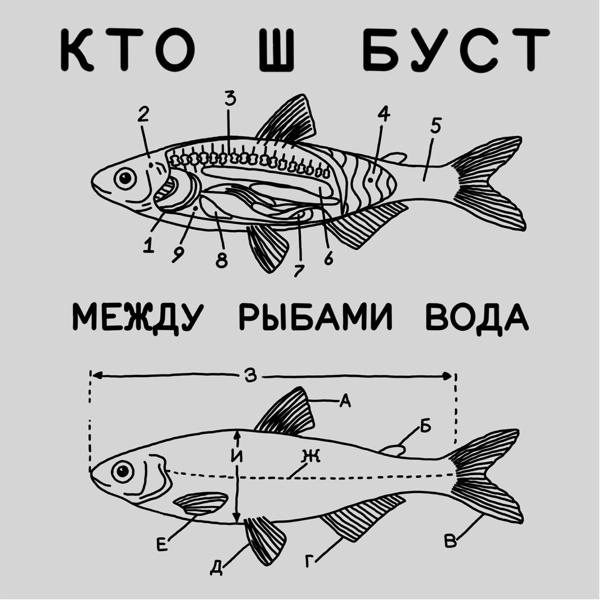 Трек Между рыбами вода