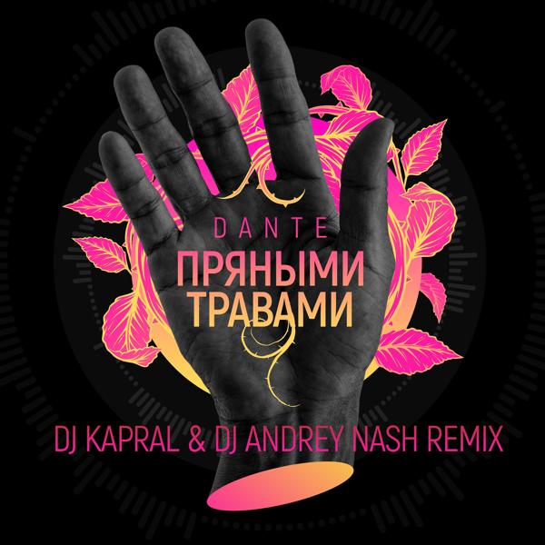 Трек Пряными травами (DJ Kapral & DJ Andrey Nash Extended Mix)