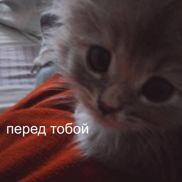 Трек перед тобой