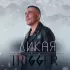 Обложка трека Trigger - Дикая