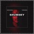 Обложка трека Shumsky - Чары