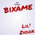 Обложка трека Bixame, Lil' Zvook - Вся Беларусь