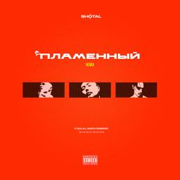 Трек Пламенный (Remix)