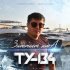 Обложка трека ТУ-134 - Заметает зима