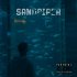 Обложка трека SANDPIPER - Дай доступ