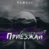 Обложка трека Damaji - Приезжай (Goosebumps Remix)