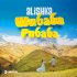 Обложка трека ALISHKA - Шибаба рибаба