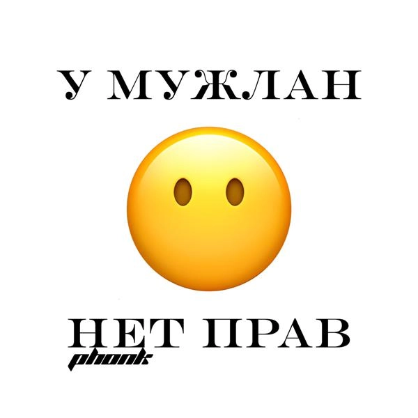 Трек У МУЖЛАН НЕТ ПРАВ PHONK