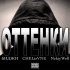 Обложка трека БИДЖИ, CHELizVNE, NekiyWell - ОТТЕНКИ