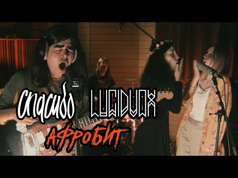 Спасибо - Афробит (Live) видео (клип)