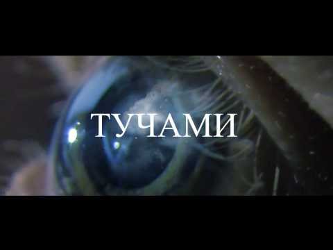 Руставели - Мои глаза видео (клип)