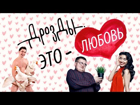 Дрозды - Это любовь видео (клип)