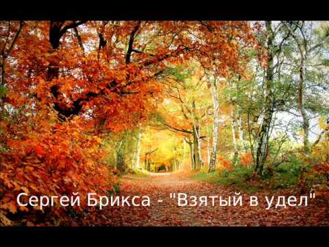 Ave - Взятый в удел видео (клип)