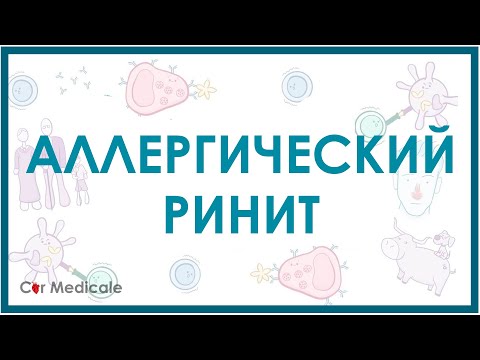 Нездоровоепитание - АЛЛЕРГИЧЕСКИЙ РИНИТ видео (клип)