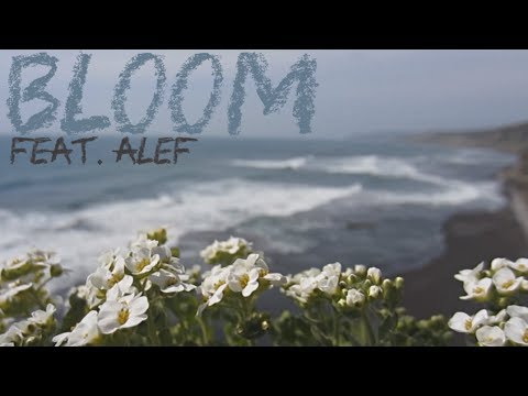 Alx Beats, Alef - Bloom видео (клип)