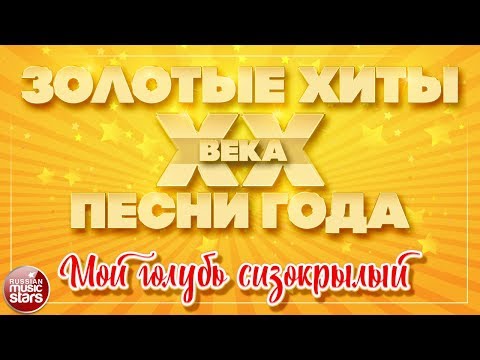 Маэстро и Марина - Мой голубь сизокрылый видео (клип)