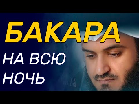 MILLDAMM - Всю ночь видео (клип)