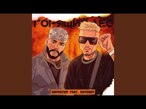 ДИРЕКТОР, SAYEDDY - Горящий лес видео (клип)