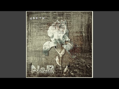 N & B - Цветы (Radio Edit) видео (клип)