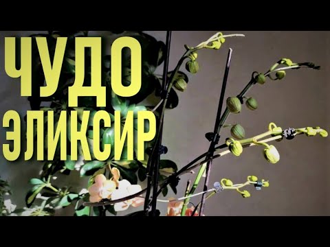 Remind - Эликсир видео (клип)