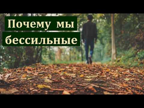 BRILLIANT GOD, Otchê - Вечер видео (клип)