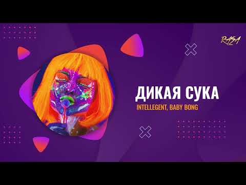 INtellegent, Baby Bong - Дикая cука видео (клип)