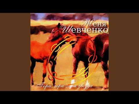 Женя Шевченко - Эй, вы, кони видео (клип)