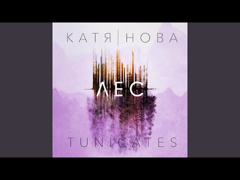 Катя Нова & Tunicates - Меняй видео (клип)