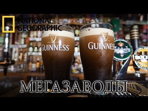 Guiness - Не та видео (клип)