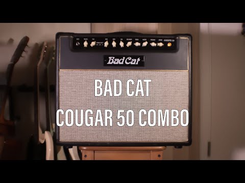 BAD CAT, Metra - Точка опоры видео (клип)