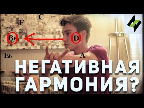 Skunk - Чувствуй гармонию видео (клип)