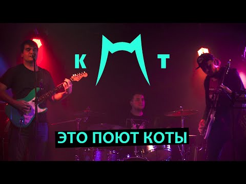 K|Т - Это поют коты видео (клип)