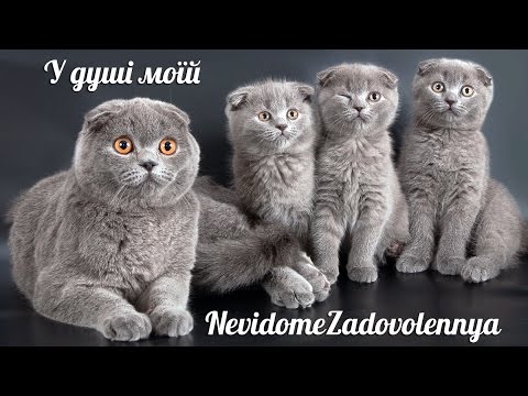 NevidomeZadovolennya - У душі моїй видео (клип)