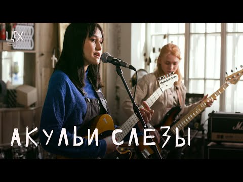 Акульи Слезы, Свидание - меньше часа видео (клип)