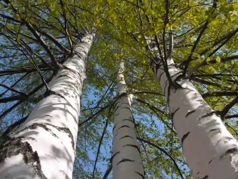 Где-то там - Во поле берёза стояла видео (клип)