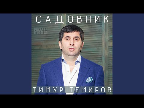 Тимур Темиров - Счастлив (Тост) видео (клип)