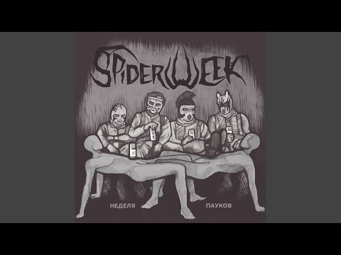 Spiderweek - Неделя пауков видео (клип)